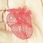 Stampa 3D del Cuore